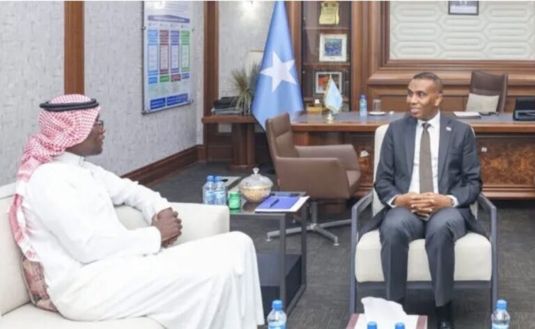Ra’iisul Wasaare Xamsa iyo Safiirka Sacuudiga oo Ka Wada Hadlay Xoojinta Xiriirka Iskaashiga Labada Dal